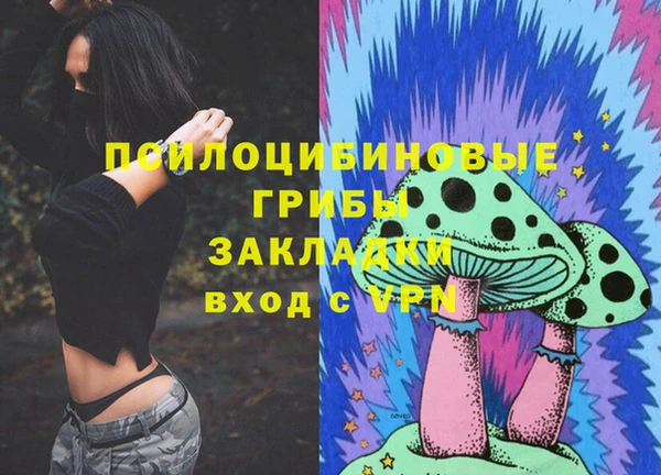 a pvp Беломорск