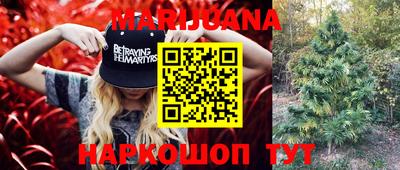 трава Северобайкальск