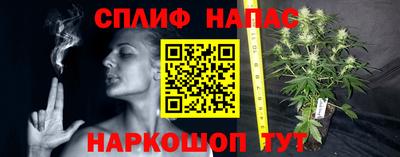 МДПВ Севастополь