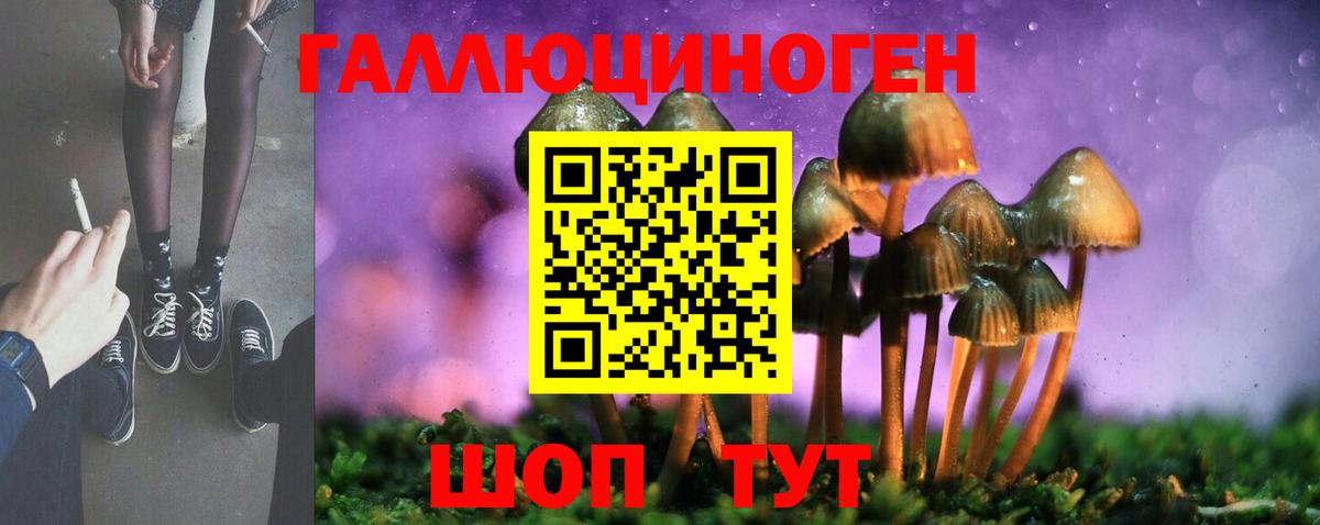 Галлюциногенные грибы Cubensis  Вход с VPN  Спасск-Дальний 